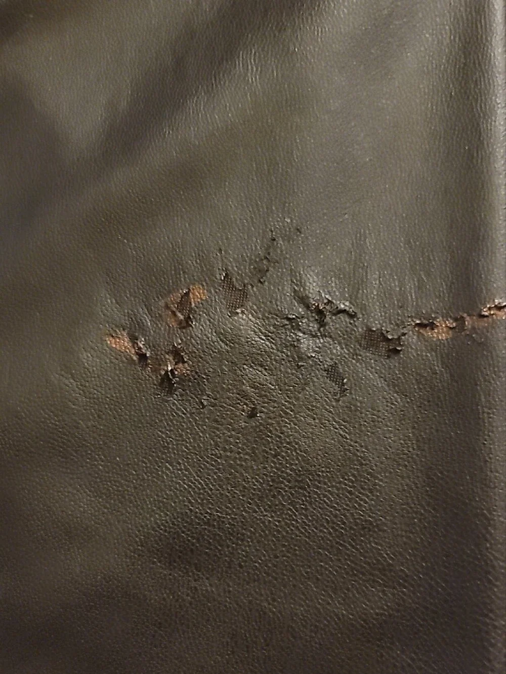 Maurices faux leather